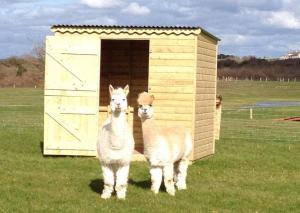 Burren Nature Sanctuary Apartment