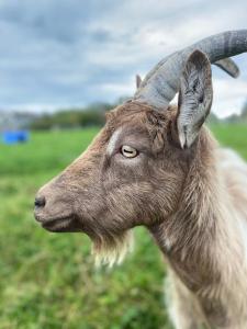 Burren Nature Sanctuary Apartment