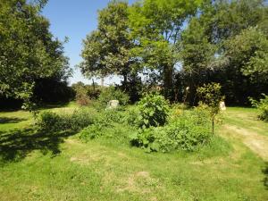 Maisons de vacances Tranquille Vienne Gites a Chirac dept Charente : photos des chambres