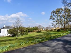 Beech Cottage - Uk49211