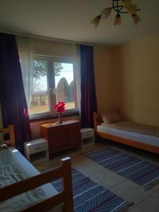 Little village house