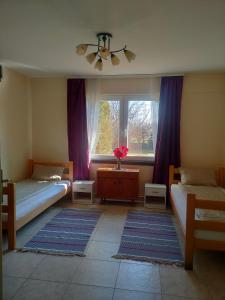 Little village house