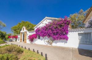 Cubos Apartamento Lauro Golf Buganvilla