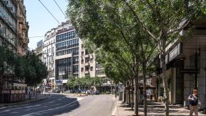 Two Bedroom Apartment Trg