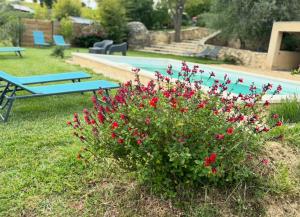 B&B / Chambres d'hotes Locations insolites 