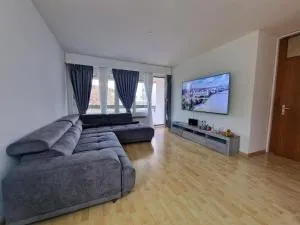 City vibes Basel-Tolle möblierte Wohnung - 莱茵河畔威尔