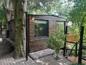 The Cabins at Phantom Acres