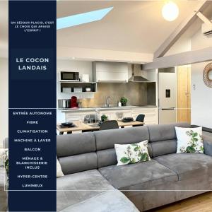 Appartements Le Cocon Landais - Clim - Balcon - Central - Spacieux - Lumineux : Appartement 1 Chambre