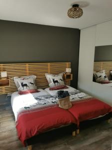 Appartements Le Cocon de Litia : photos des chambres