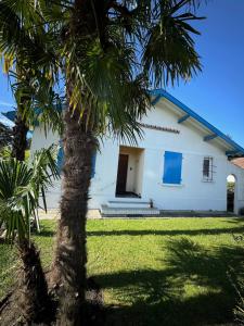 Villas Villa Dziunia Townhouse with garden : photos des chambres