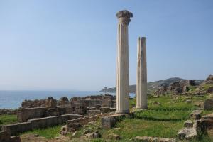 Vacanze a Villa Ortensia img60