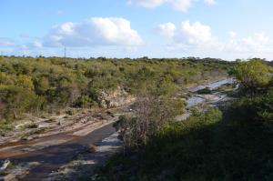 4 Bed Selfcatering River Tree House overlooking the Onrus river