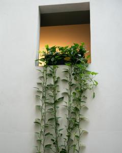 Hotel Ramblas Internacional