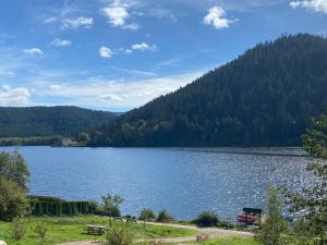 Chalets Chalet mishka : photos des chambres