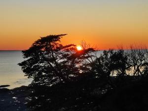 Maisons de vacances VILLA 3 chbres Vue mer maison avec piscine ds residence proche commodites et plages de sable : photos des chambres