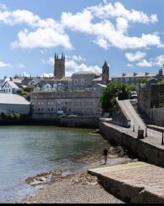 Wrens relaxing Retreat