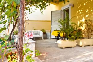 Sulina, Punat central location