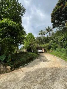 Cardamom valley homestay - Chillithodu