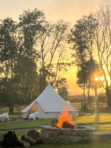 Ferry House Holidays