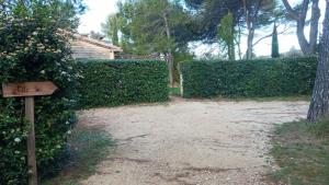 Maisons de vacances La Petite Maison Sous les Pins : photos des chambres