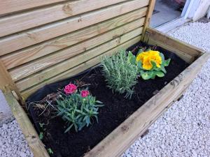 Maisons de vacances Heaven-s Cottage : photos des chambres