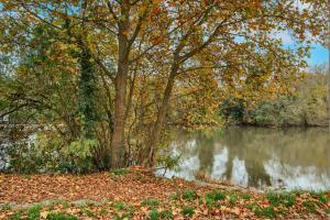La Marinière - Wifi - Bord de rivière