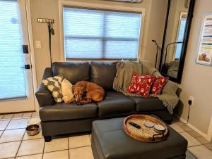 WildWoof Beach Bungalow - 3 Blocks to Beach