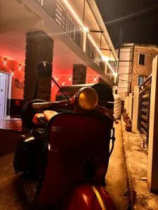 Blooming nights with Begonia - 丁迪古尔