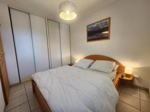 Appartement confort 4 pers avec balcon et garage, coeur de Samoëns - FR-1-629-101