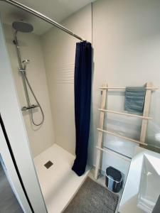 Maisons de vacances Fernand - Maison centre ville - cour exterieure - Le Touquet : photos des chambres