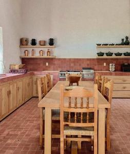 Majestic 5BR Villa with Pool in Queretaro