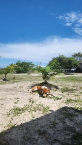 Pousada Paraíso da Cataia