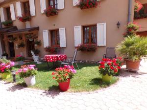 Appartements Gite Les Hirondelles F2 : photos des chambres