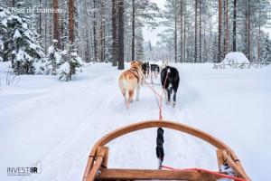 Carriole - Private Hot Tub - Hiking and Skiing