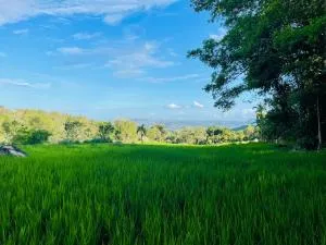 Green Agua Lodge - Karagastalawa