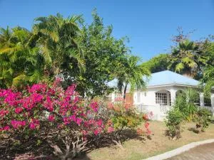 Ruby Joy Villa - 圣乔治