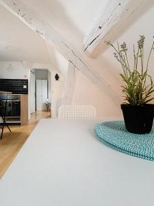 Appartements Le Perchoir : photos des chambres
