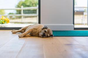 Rabbit Hole by Keepers Cottages