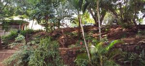 Risima Guest Lodge Hazyview