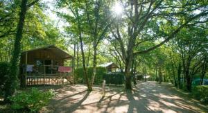 Campings Chalet 4 etoiles - Piscine - ccafdif : photos des chambres