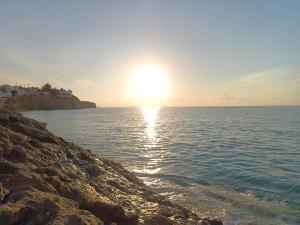 Sol Mediterráneo - Palm Beach 4