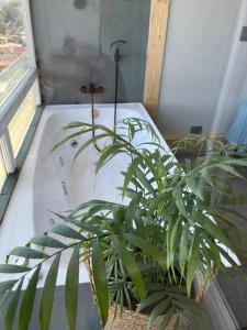 Temuco Depto estudio a pasos Av Alemania y centro comerciales