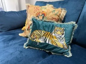 Luxurious Modern House With Garden Close To City Centre - Taffs Well