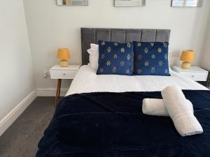 Luxurious Modern House With Garden Close To City Centre