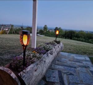 Kuća za odmor "Vila Marina"