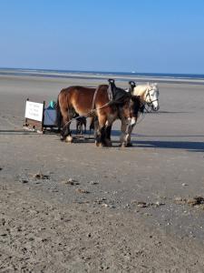 Appartements appartement proche plage avec jacuzzi : photos des chambres