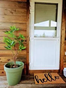 Le canard: rustig genieten aan het water - Westerlo