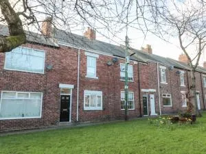 Sunflowers - Seaton Delaval