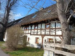 Smocza Chata - Grudza