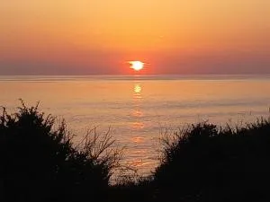 La Patelle - La Brée-les-Bains